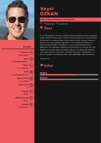 Mekatronik Mühendisliği Cv Örnekleri cv indir